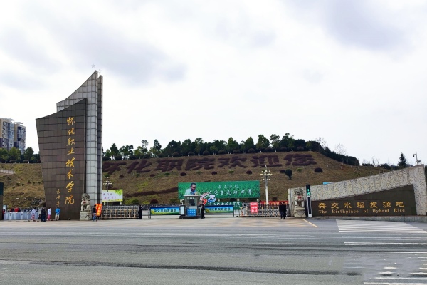 懷化職業(yè)技術(shù)學院2025年錄取分數(shù)