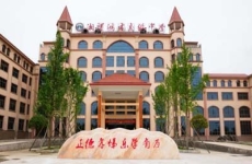 邵陽市湘智鴻才中學(xué)復(fù)讀部