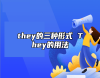 they的三種形式 They的用法