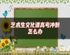 藝術生文化課高考沖刺怎么辦