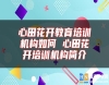 心田花開教育培訓(xùn)機構(gòu)如何 心田花開培訓(xùn)機構(gòu)簡介