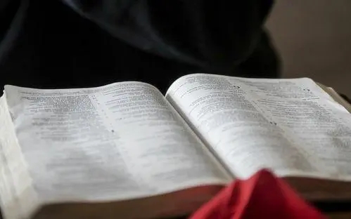 u=2821062523,1593915231&fm=253&fmt=auto&app=120&f=JPEG.webp.jpg u=2821062523,1593915231&fm=253&fmt=auto&app=120&f=JPEG.webp.jpg